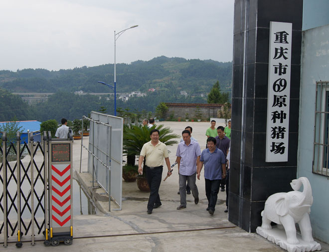 國家鄉(xiāng)村振興局副局長、原黔江區(qū)委書記洪天云視察重慶69